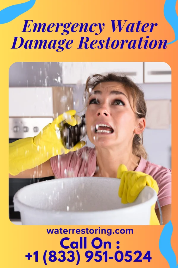 Emergency Water Damage Restoration in Parsons, WV
