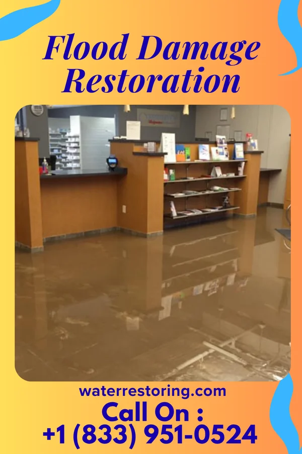 Flood Damage Restoration in Parsons, WV