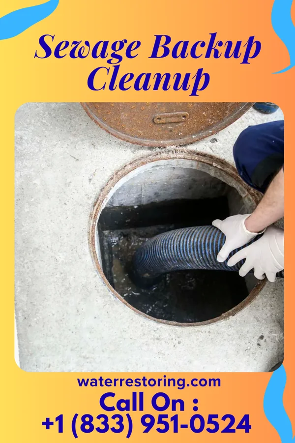 Sewage Backup Cleanup in Parsons, WV