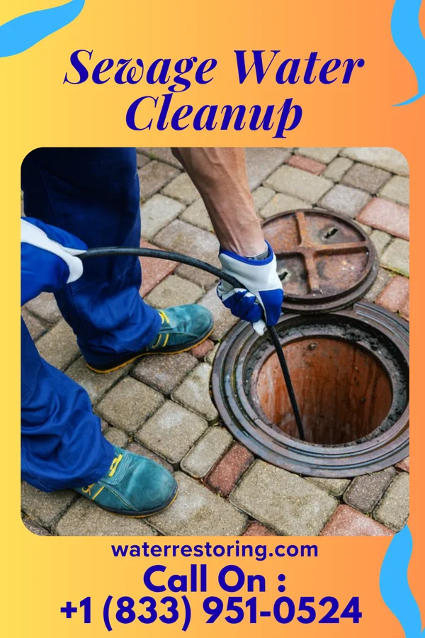Sewage Water Cleanup in Parsons, WV