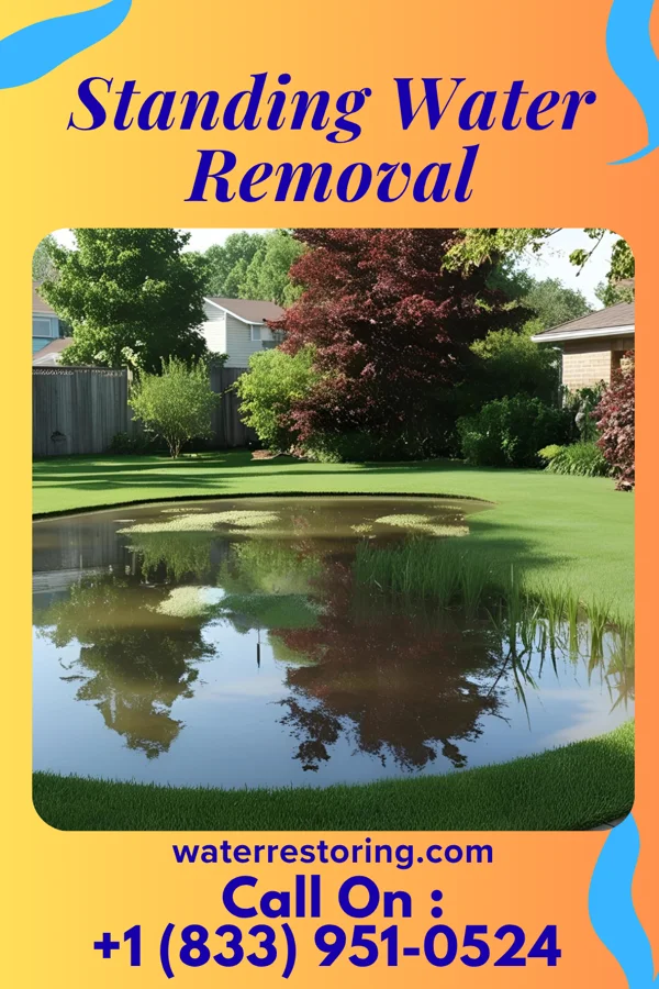 Standing Water Removal in Parsons, WV